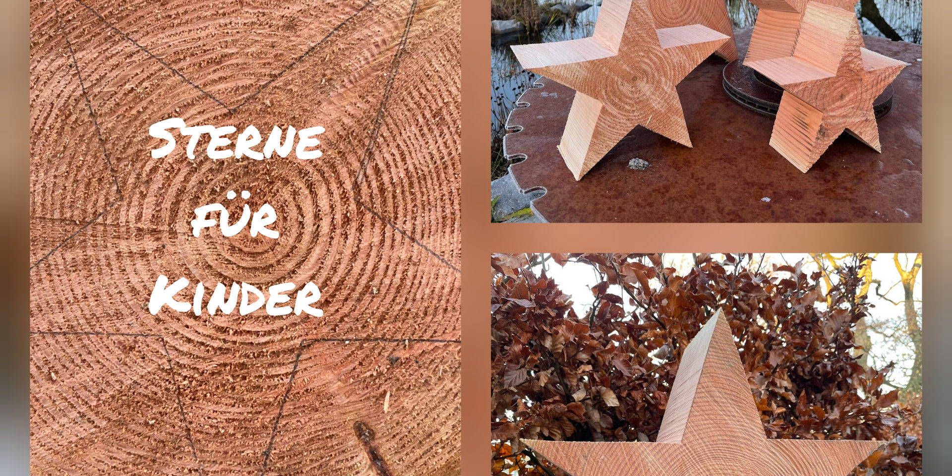 InShot_20201128_132955424