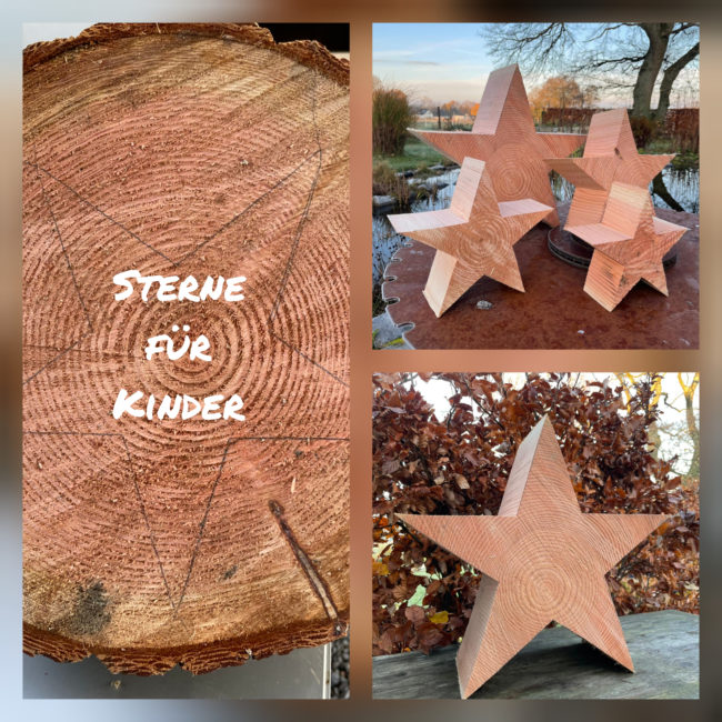 InShot_20201128_132955424