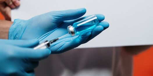 pexels-photo-3952224