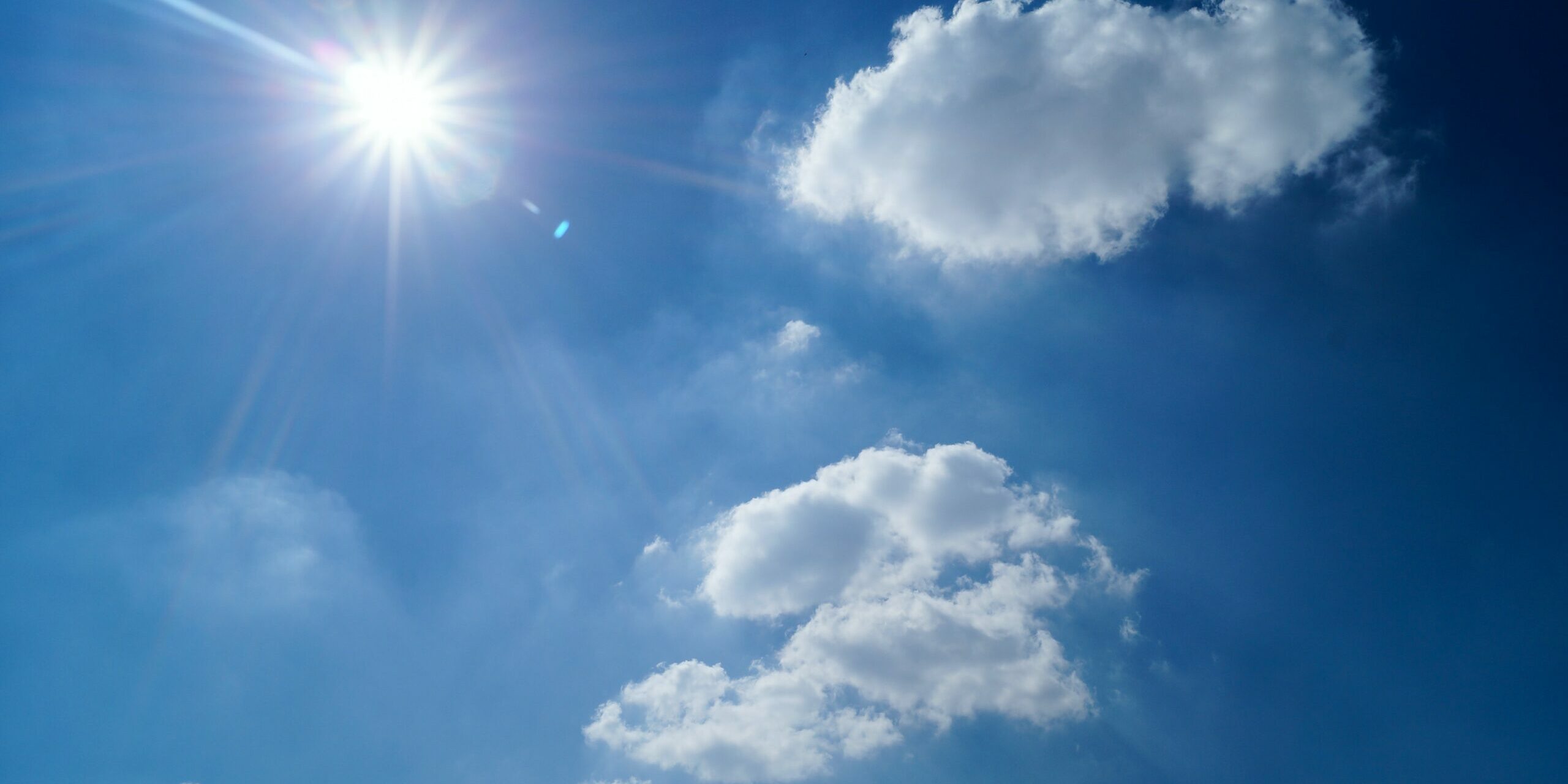 pexels-skitterphoto-3768